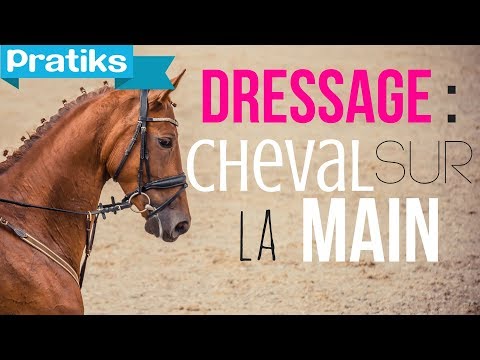 comment monter a cheval quand on a ses regles