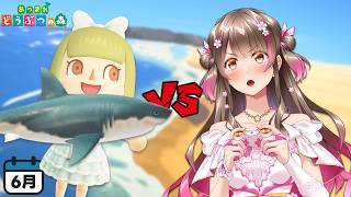 （明日18日の配信）【あつ森】サメ登場！１年で１番大変かもしれない6月の魚をコンプするまで終われません【あつまれどうぶつの森】