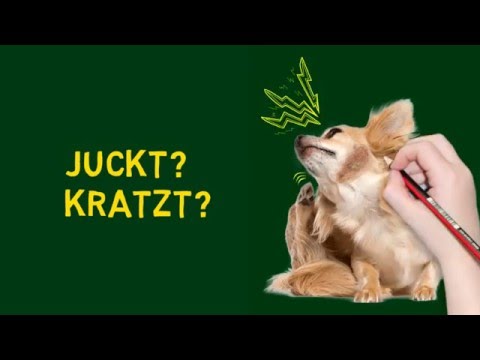 Wie die Kinder mit atopitscheskim von der Hautentzündung zu baden Die Egel die Behandlung des Ekzems