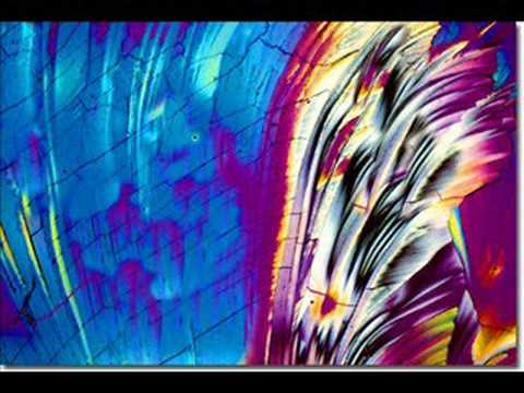 Tony Rohr - Marriot Acid