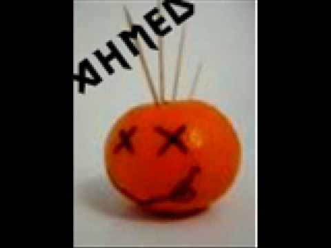 Zielone Żabki-Szkoła