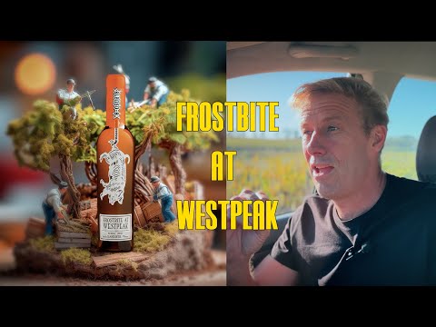 FROSTBITE @ WESTPEAK - A Elgin vine dried little sweet wine made from Sauvignon blanc. - THE MOVIE