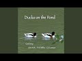 Ducks on the Pond (Quintet)