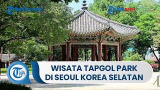 Wisata Tapgol Park Penyuguhan Alam Taman Modern di Seoul Korea Selatan