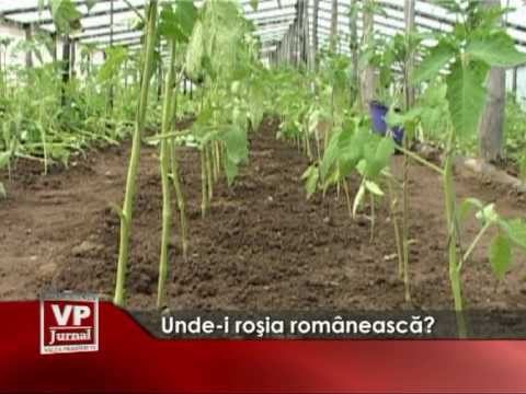 Unde-i roşia românească?