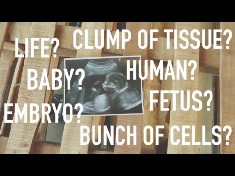 The S.L.E.D. Test: How to Talk About Why You’re Pro-Life and Not Pro-Abortion