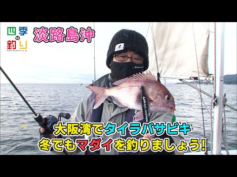 大阪湾でタイラバサビキ　冬でもマダイを釣りましょう！（四季の釣り/2021年2月19日放送）