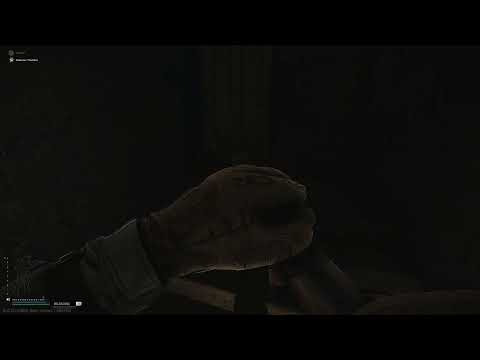 Leg Meta - DB Sawn Off