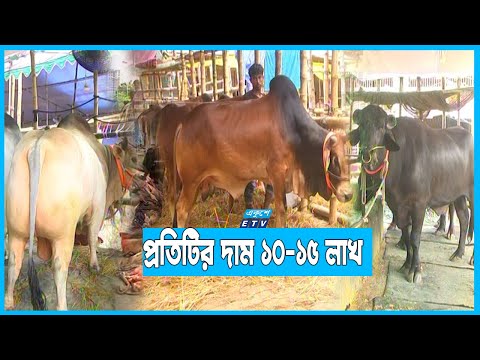 কোরবানীর হাট না জমলেও বাবু সাহেবরা হাজির