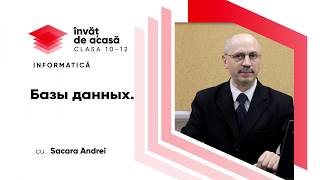  Базы данных. Отчеты