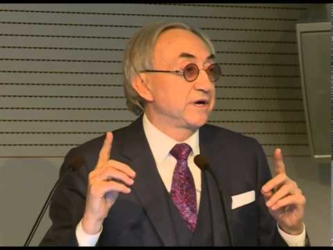Delta Holding – Građevinske dozvole – Miroslav Mišković, predsednik