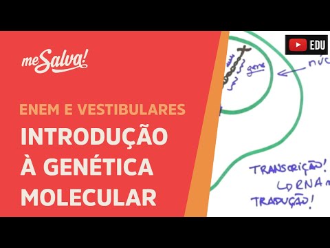 Me Salva! GEN01 - Genética - Introdução à genética molecular