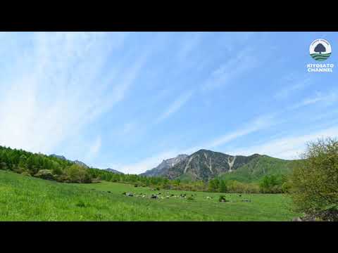 八ヶ岳牧場タイムラプス