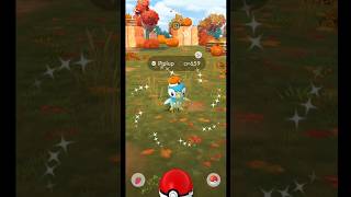 got shiny piplup Halloween in wild... #pokemongo #piplup #pokemongohalloween #pokemon