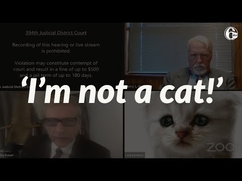 Attorney accidentally leaves cat filter on during Zoom call: 'I'm here live, I'm not a cat!'