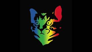 Whoopie Cat - Sun Don&#39;t Shine