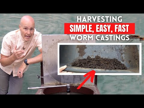 Easy Worm Composting - Harvesting the Castings | FLOW THROUGH SYSTEM