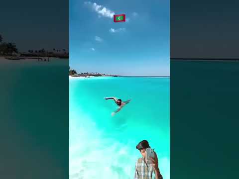 #beach #travel #paradise #automobile #vacation #funny #entertaining