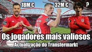 Os jogadores mais valiosos do plantel do Benfica! | Actualização do Transfermarkt