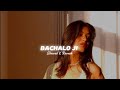 Bachalo Ji Slowed Reverb AKHIL