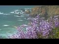 Relaxing Music, Peaceful Music, Instrumental Music, "Majestic Sea" by Tim Janis