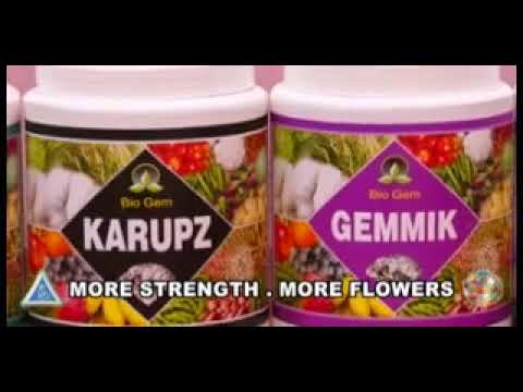 Natural brassinolide powder