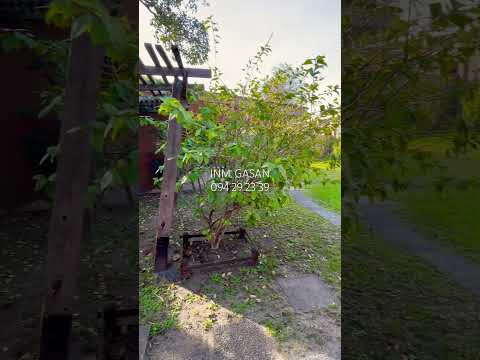 Alquiler en pinamar sur Alquilo propiedades Uruguay canelones 2 dormitorios parrillero garage