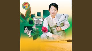 នៅស្ងៀមធ្វើអ្វី?