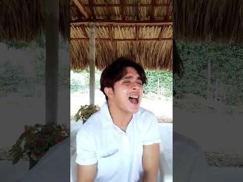 #shorts Suena el arpa del Grupo Grace Cover