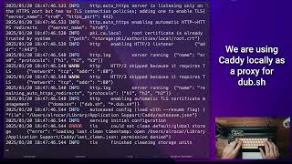 Building Dub.co locally using tinybird-local