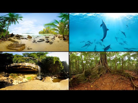 Full HD Trailer (planar) -  Magic Horizons - GERMAN