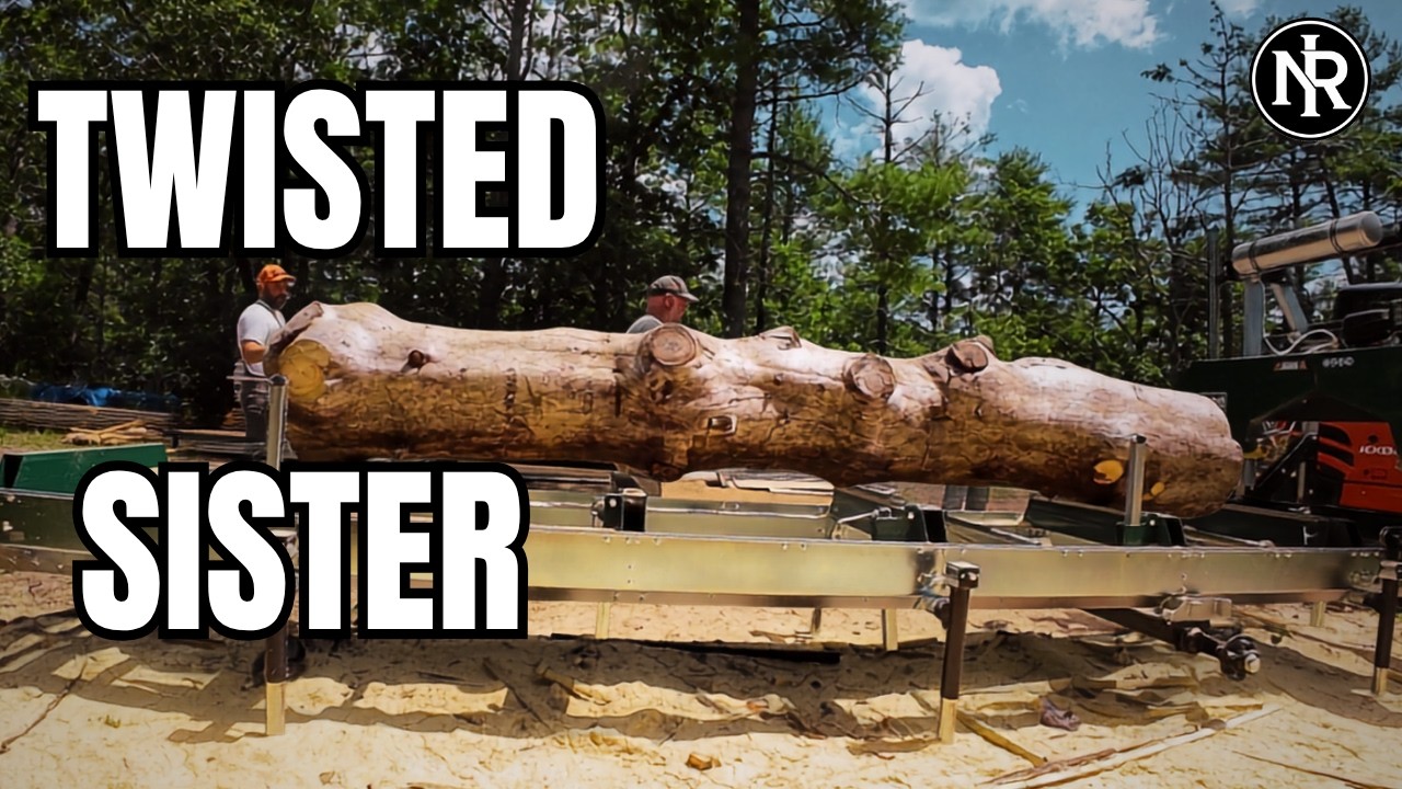 We Saved the Worst Pine for Last - The North River