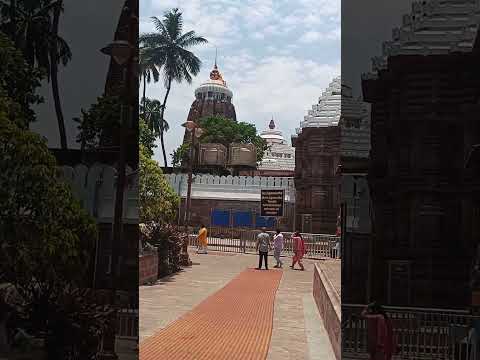 Lord Jagannath Temple Puri🙏 #jagannath