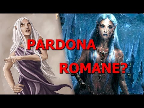 DSA: Pardona-Romane - Wo bleiben sie? Ein Update!