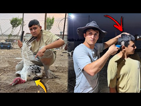 عاقبت كرار بعد الي صار بالمزرعة !! 😡🔥