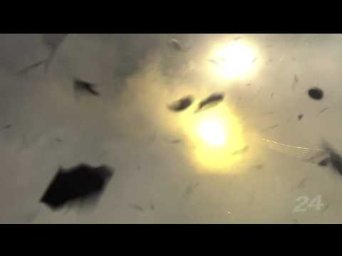 20110611 Mike Rockenfeller Le Mans 24 Hours Crash Replay1