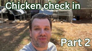 Chicken coop tour // part 2