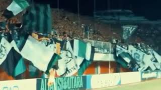 Download lagu Story WA PSS Sleman mp3