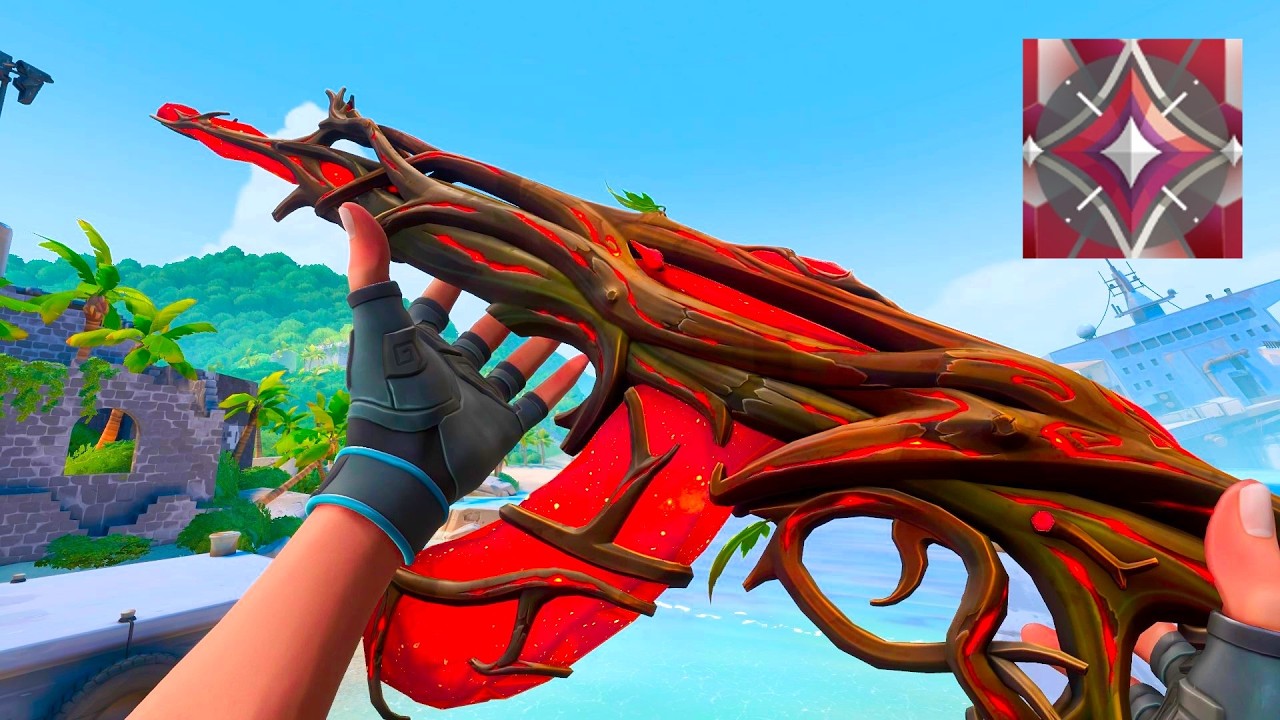 これがエイム練習ソフト1000時間エイム【VALORANT】