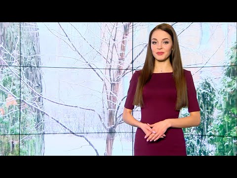 Сугробы по пояс! Прогноз погоды с 8 по 14 февраля 2021. Погода на неделю