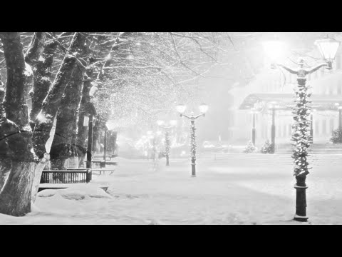 Tim Story | Asleep The Snow Came Flying
