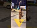 Avneet Kaur Hot Dance Shorts