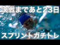 決戦まであと23日!スプリントガチトレ