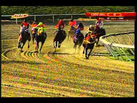 Resumen Domingo, 08 de Febrero de 2015 - La Rinconada