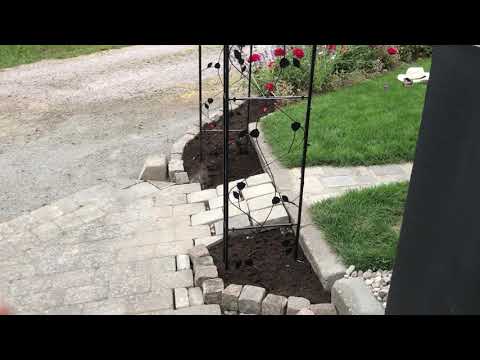 Regnträdgård – Plats för vattnet