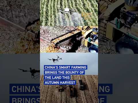 China's smart farming brings the bounty of the land this autumn harvest#coolchina
