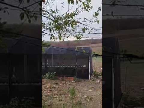 🇧🇷 IBICUITINGA  CEARÁ 12/12/2025