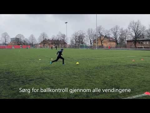 "Ronaldo" - grunnform og teknikk