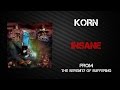 Korn Insane Lyrics Video