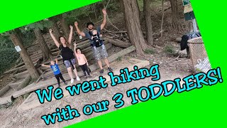 We went hiking with our 3 TODDLERS!